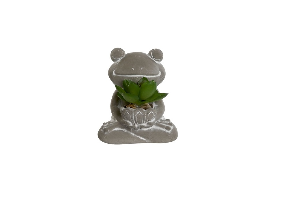 PLANTA CEMENTO PE 7.5X5X11CM RANA